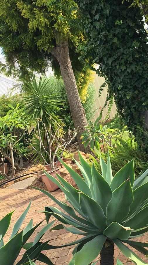 רדקליף Armadale Cottage Bed & Breakfast מראה חיצוני תמונה